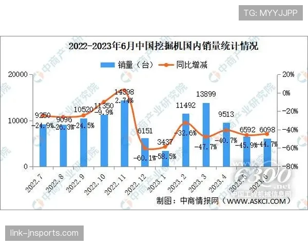 山东泰山豪门地位稳固性：当前阶段面临挑战与表现波动影响
